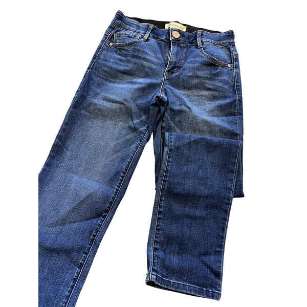 Democracy Medium Wash Skinny Jeans Size 2