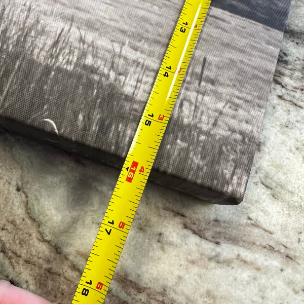 Highland Cow Monotone Canvas Western Home Decor