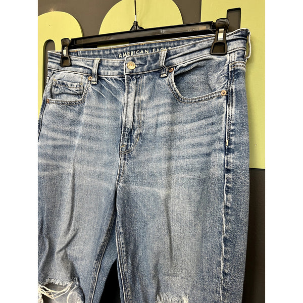American Eagle Distressed Strigid Mom Jeans Size 8 Short