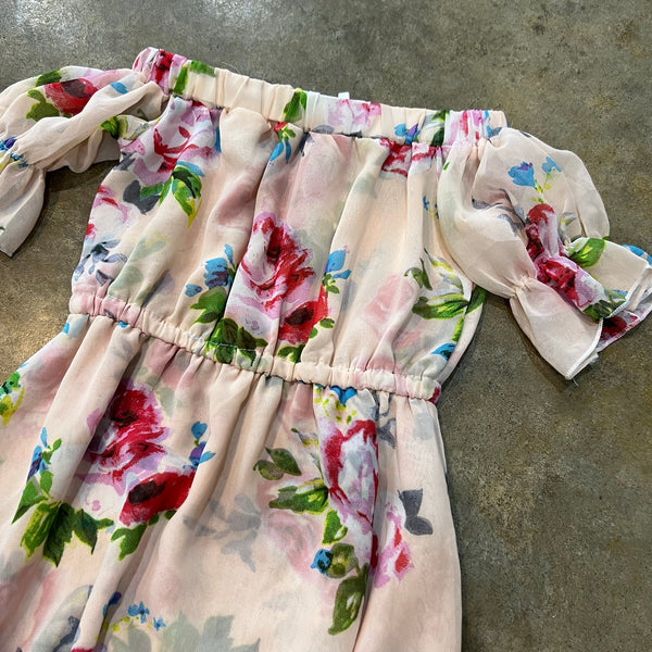 NWT Bailey's Blossoms Floral Off Shoulder Blush Lined Maxi Dress Size 12-18 Mo.