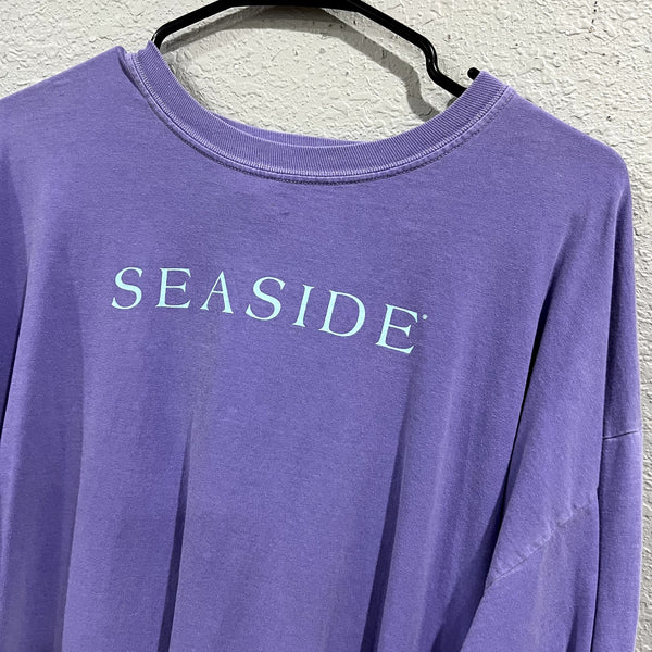 Comfort Colors Seaside Purple + Mint Long Sleeve Tshirt XL