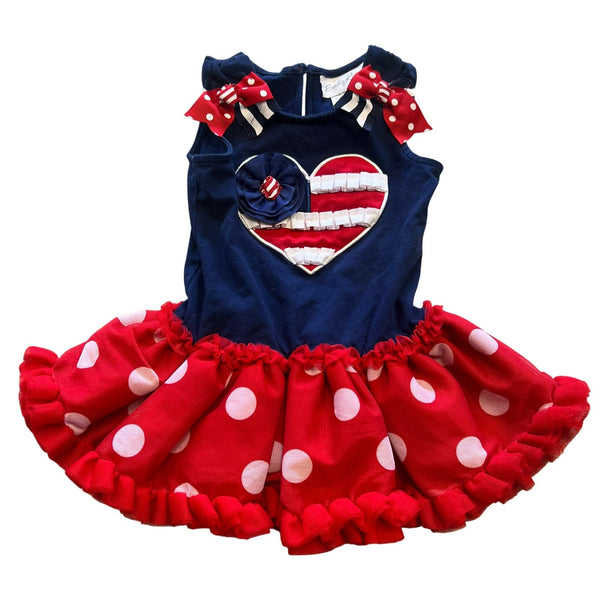 Emily Rose Girls Tulle Polka Dot America Dress Size – Southern