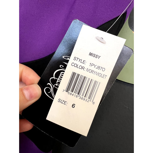 NWT Jax Color Block Mesh Sheath Dress Size 6