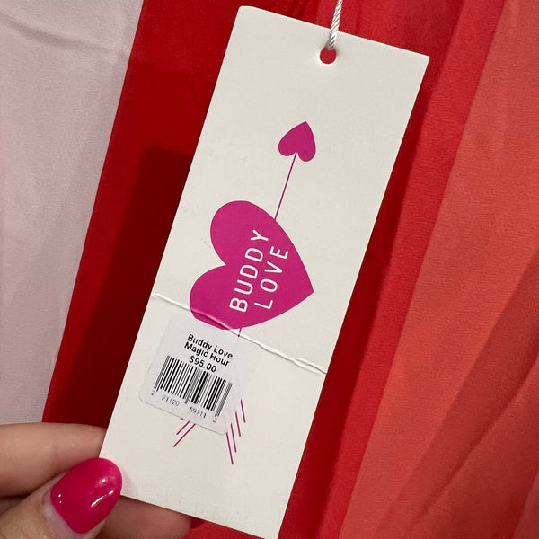 NWT $95 Buddy Love Pink Color Block Magic Hour High Low Sleeveless Maxi Dress S