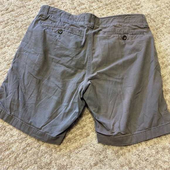 True Craft Men's Gray Shorts Size 34