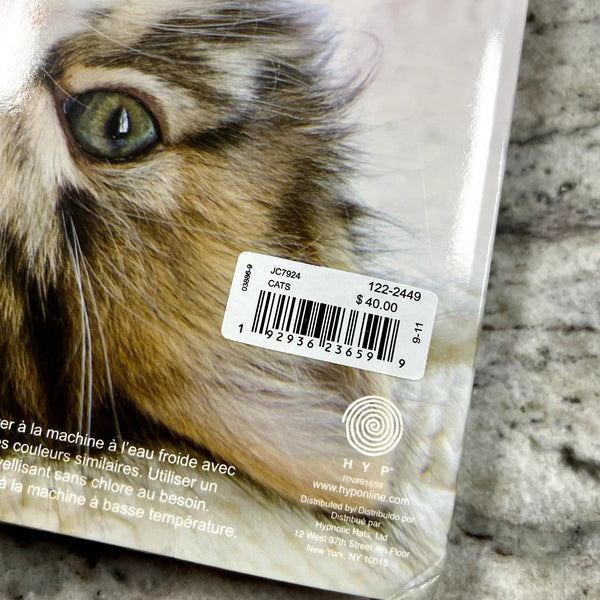 NEW 12 Days of Christmas Kitty Socks