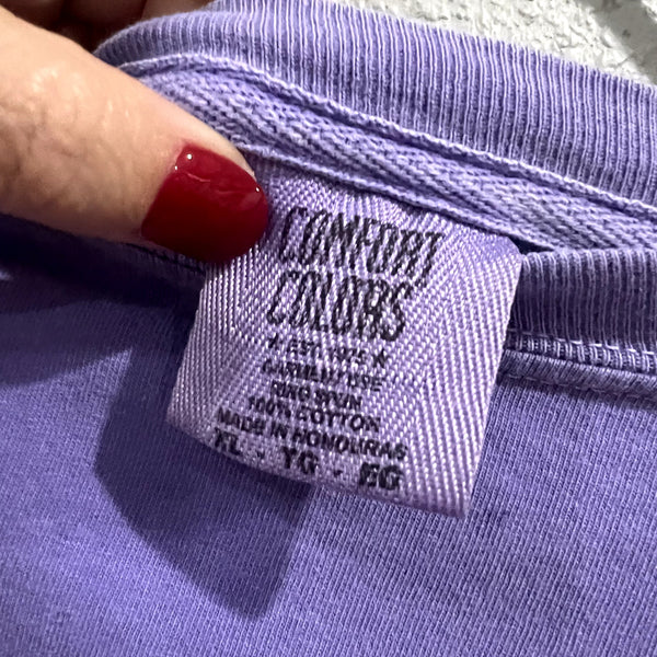 Comfort Colors Seaside Purple + Mint Long Sleeve Tshirt XL