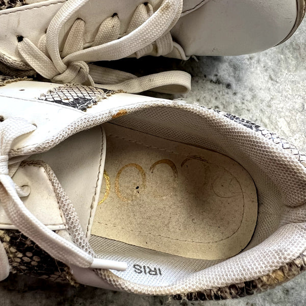 Ccocci Iris Snake Print Low Top Sneakers Size 7