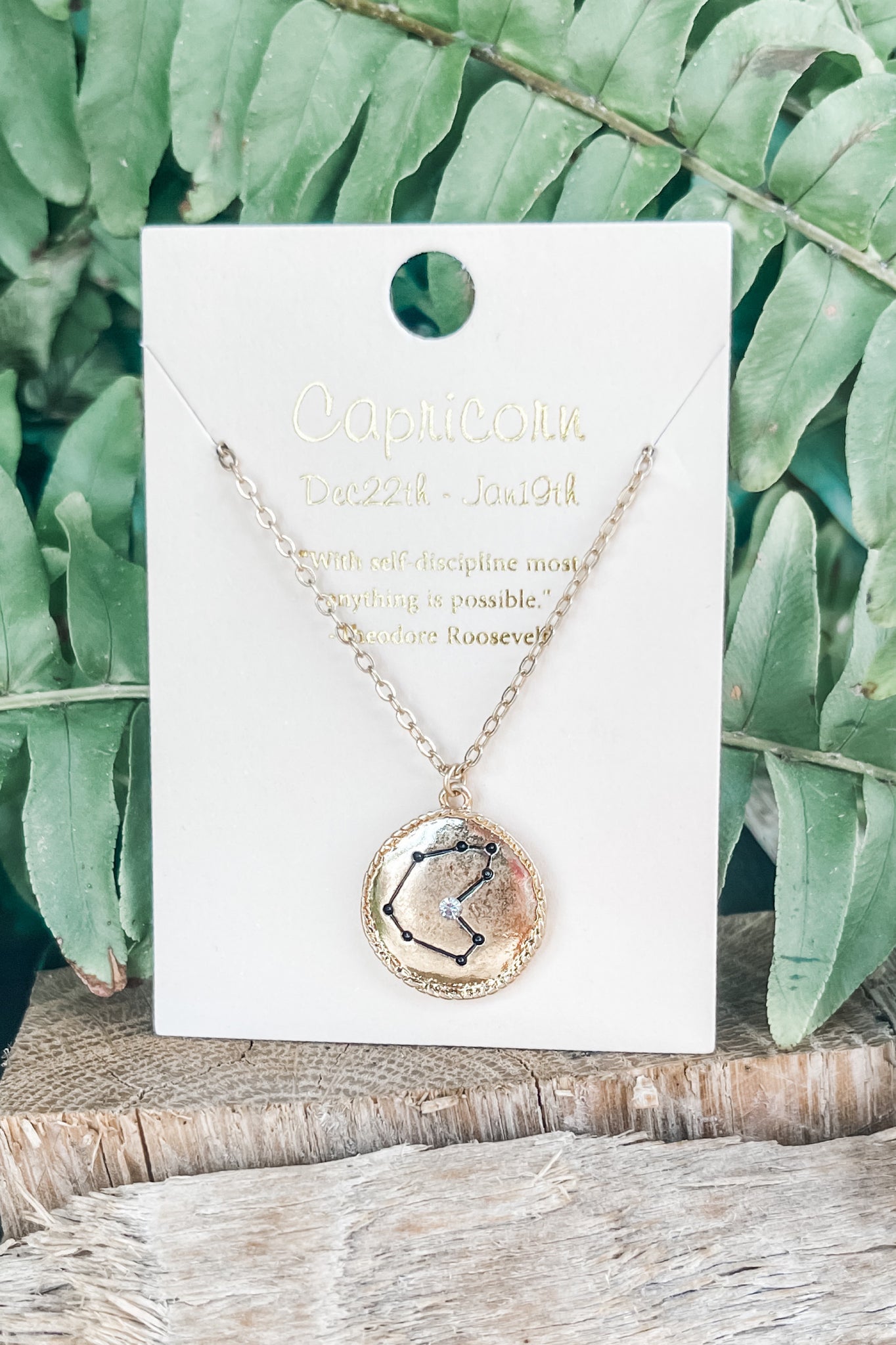 Zodiac Pendant Necklace - Capricorn